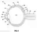 Fig. 04 - Methods for treating retinopathy with extended therapeutic effect