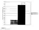 Fig. 11 - Alpha-2 agonist polymeric drug delivery systems