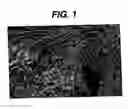 Fig. 02 - Hemostatic devices and methods of making same