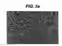 Fig. 08 - Hemostatic devices and methods of making same