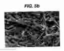 Fig. 09 - Hemostatic devices and methods of making same