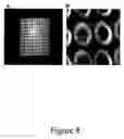 Fig. 06 - Transdermal delivery system for dried particulate or lyophilized medications