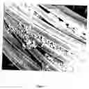 Fig. 02 - Bioactive material for use in stimulating vascularization