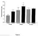 Fig. 09 - Bioactive material for use in stimulating vascularization