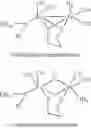 Fig. 02 - Method for treating a mammal by administration of a compound having the ability to release CO