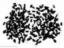 Fig. 01 - Vegetable and fruit nutrients-enriched rice
