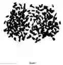 Fig. 02 - Vegetable and fruit nutrients-enriched rice