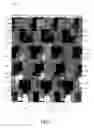 Fig. 02 - Orthogonally ambiguous carpet tiles having curved elements