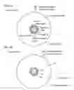 Fig. 02 - Optical information recording medium and stamper