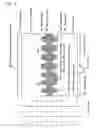 Fig. 05 - Optical information recording medium and stamper