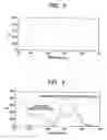 Fig. 04 - Method of forming fluorescent image, fluorescent image, and ink-jet recording method