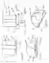 Fig. 03 - Method and apparatus for delivering barcode-to-dose labels