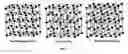 Fig. 08 - Epitaxial layer structures, precursors for topotactic anion exchange films