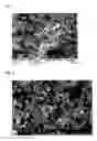 Fig. 02 - Process for forming a well visible non-chromate conversion coating for magnesium and magnesium alloys