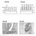Fig. 03 - Integrated electronic component