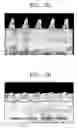 Fig. 04 - Method of forming pattern using fine pitch hard mask