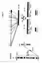 Fig. 07 - Height-related gene