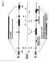 Fig. 08 - Height-related gene