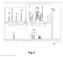 Fig. 06 - N-acetylgalactosamine transferases and nucleic acids encoding the same