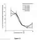 Fig. 19 - Modulation of insulin like growth factor I receptor expression