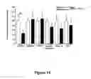 Fig. 22 - Modulation of insulin like growth factor I receptor expression