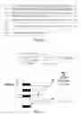 Fig. 02 - Nucleic acid encoding proteins involved in protein degradation, products and methods related thereto