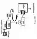 Fig. 07 - Nucleic acid encoding proteins involved in protein degradation, products and methods related thereto