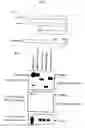 Fig. 06 - Method of screening a substance interfering in the association of DOCK2 and ELMO