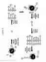 Fig. 03 - Protein scaffolds and uses thereof