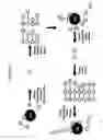 Fig. 04 - Protein scaffolds and uses thereof