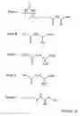 Fig. 09 - Selective binding and analysis of macromolecules