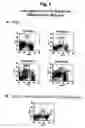 Fig. 02 - Methods for distinguishing type-1 from type-2 diabetes
