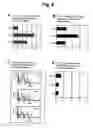 Fig. 06 - Methods for distinguishing type-1 from type-2 diabetes