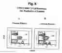 Fig. 09 - Methods for distinguishing type-1 from type-2 diabetes