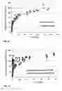 Fig. 09 - Hematological assay and kit