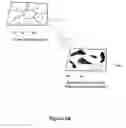 Fig. 07 - Predicting hepatotoxicity using cell based assays
