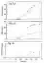 Fig. 06 - Methylotrophic bacterium for the production of recombinant proteins and other products
