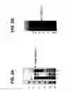 Fig. 03 - Expression of soluble, active eukaryotic glycosyltransferases in prokaryotic organisms