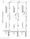 Fig. 07 - Expression of soluble, active eukaryotic glycosyltransferases in prokaryotic organisms
