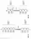 Fig. 06 - Targeting multiple angiogenic pathways for cancer therapy using soluble tyrosine kinase receptors