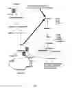 Fig. 02 - Method for the microbial production of aromatic amino acids and other metabolites of the aromatic amino acid biosynthetic pathway