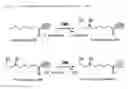 Fig. 02 - Method for the production or r-a-lipoic acid by fermentation