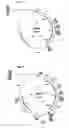 Fig. 03 - Genetically modified yeast species and fermentation processes using genetically modified yeast