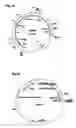 Fig. 22 - Genetically modified yeast species and fermentation processes using genetically modified yeast