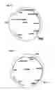 Fig. 23 - Genetically modified yeast species and fermentation processes using genetically modified yeast