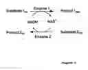 Fig. 02 - Crosslinked enzyme aggregates