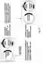 Fig. 03 - Methods and composition for the production of orthogonal tRNA-aminoacyltRNA synthetase pairs