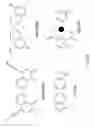 Fig. 12 - Methods and composition for the production of orthogonal tRNA-aminoacyltRNA synthetase pairs