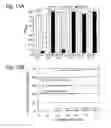 Fig. 14 - Methods and composition for the production of orthogonal tRNA-aminoacyltRNA synthetase pairs
