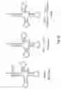 Fig. 33 - Methods and composition for the production of orthogonal tRNA-aminoacyltRNA synthetase pairs
